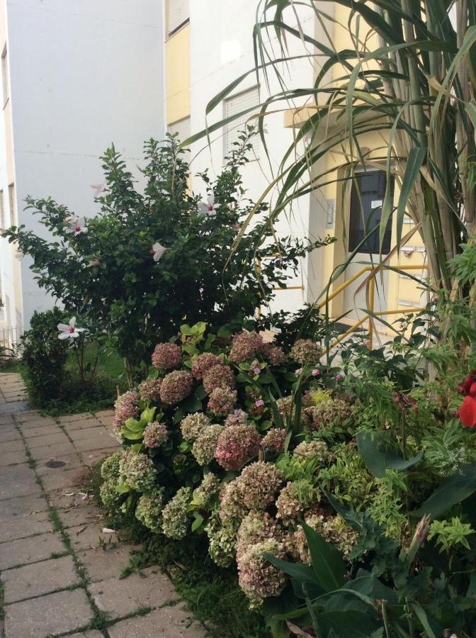 Jardim Das Flores FAO Kültér fotó